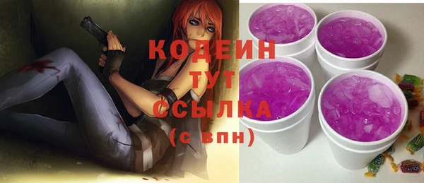 дмт Арсеньев