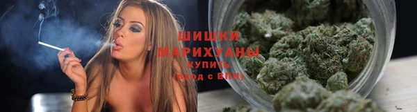 дмт Арсеньев