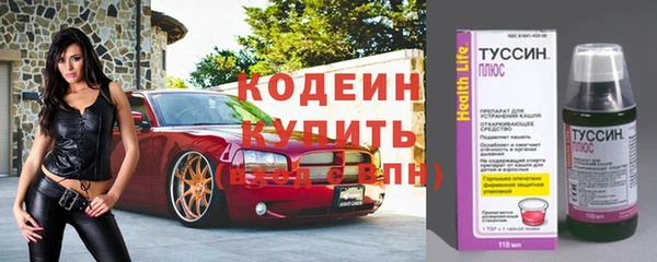 дмт Арсеньев